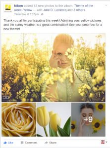 2016_Nikon_Yellow003